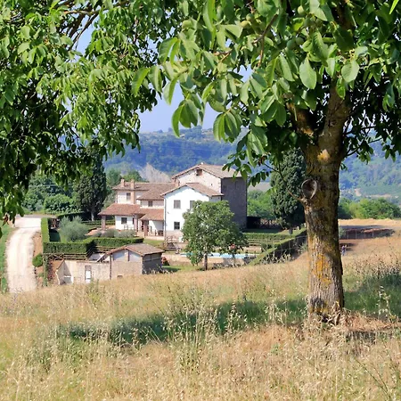 Orvieto Castiglione In Teverina